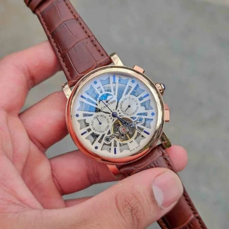 Leather Brown Automatic Watch C