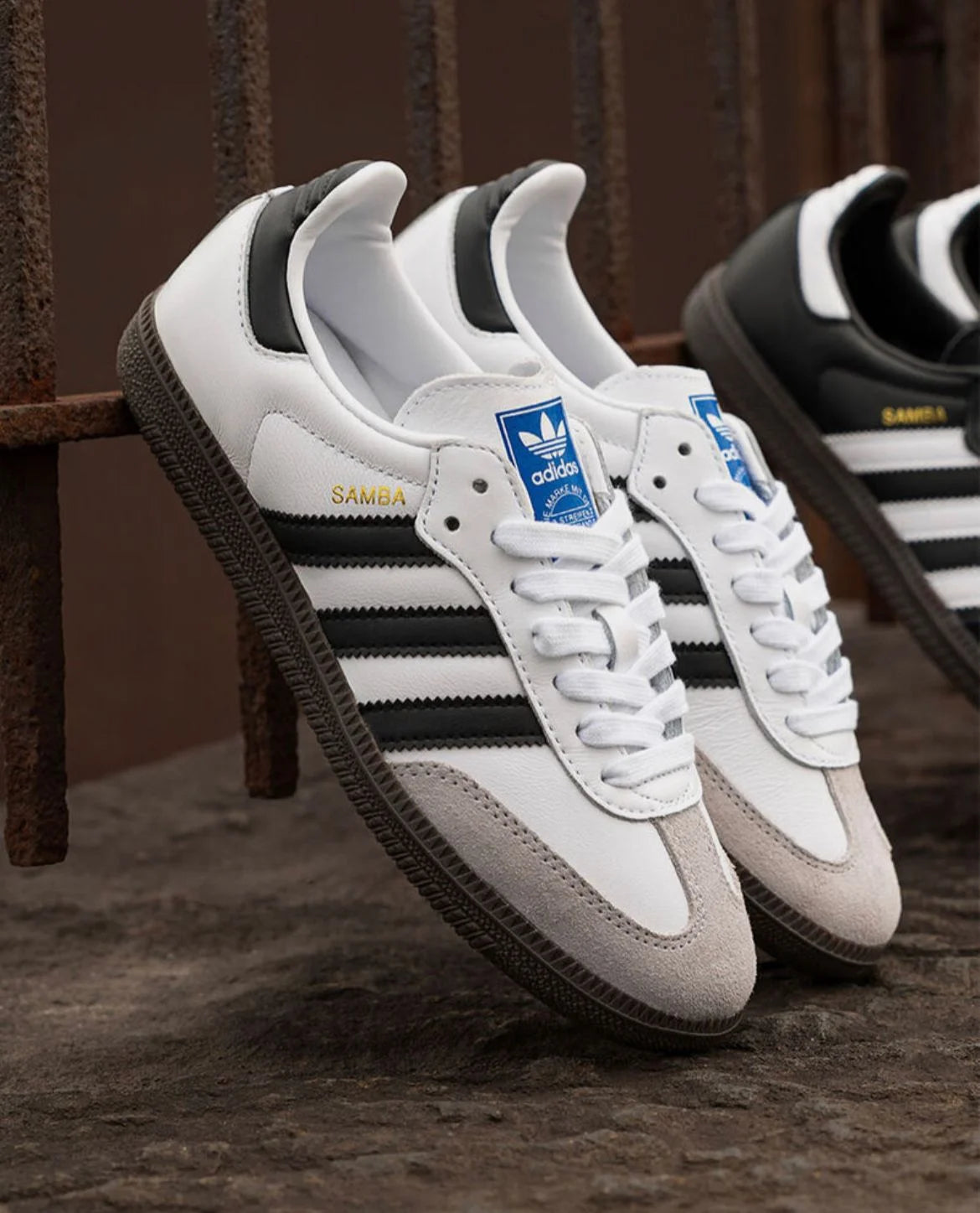 Samba White
